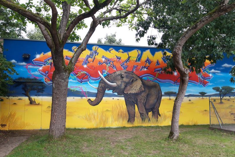 Safari graffiti Elephant_DEZER